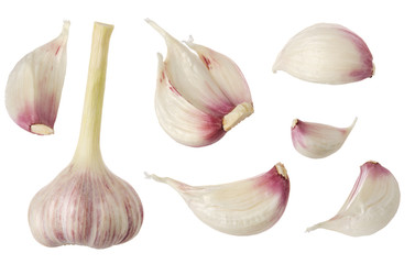 Isolated garlic. Whole garlic head and slices set isolated on white background