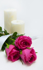 Bouquet of pink roses on the table