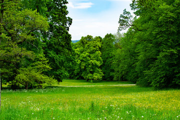 Livada sa zelenom travom i drvećem u parku Zamecky u dvorcu Hluboka (Hluboka nad Vltavou, Češka) tijekom proljetne sezone © Jesus Barroso