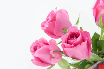 Fototapeta premium Bouquet of red tulips flowers