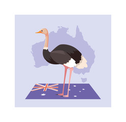 greeting card with australian ostrich