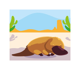 card with platypus in australian landscape