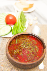 Ukrainian borsch with green onions, bread and garlic