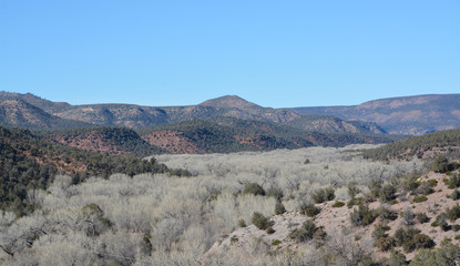 Beautiful winter view of the Cottonwood Trees and valley at Carrizo in the Salt River Canyon, Gila County, Apache Indian Reservation, Eastern Arizona USA