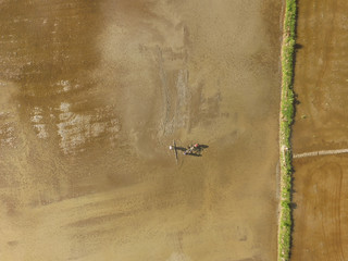 The shadow of two farmer using tractor to prepare the rice field for rice paddy plantation. This picture was taken in Luwu Utara, South Sulawesi - Indonesia