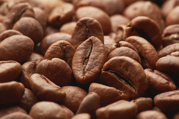 Brown roasted coffee beans on dark background. Espresso dark, aroma, black caffeine drink. Closeup isolated energy mocha, cappuccino ingredient.