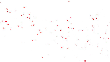 Red rose petals Blowing in the wind on a white background.