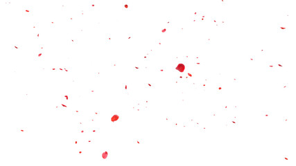 Red rose petals Blowing in the wind on a white background.