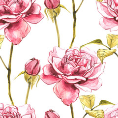 Watercolor pink wild roses. Wild flower set isolated on white. Botanical watercolor illustration, roses bouquet, rustic flowers. Seamless patterns.