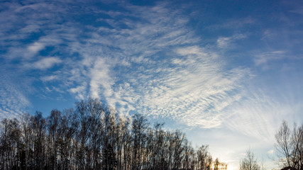 Altostratus clouds on a blue sky