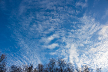 Altostratus clouds on a blue sky