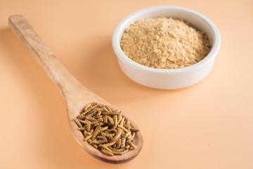 Worm meal flour in brown background