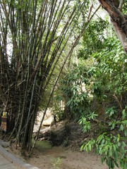 Eravan waterfall in Thailand, Suoutheast Asia