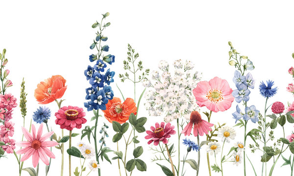 Beautiful floral summer seamless pattern with watercolor hand drawn field wild flowers. Stock illustration. © zenina