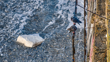 winter holidays in a ski resort