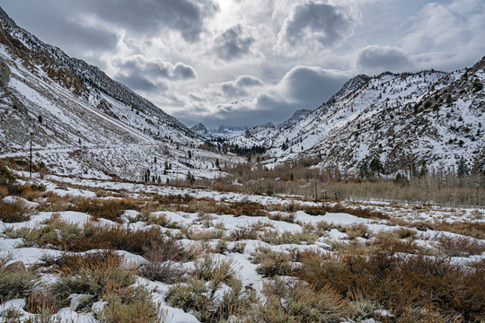 Winter in Aspendell