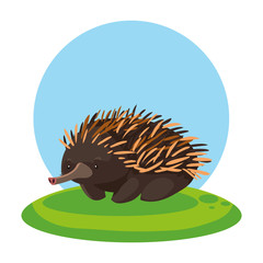 cute echidna with background landscape