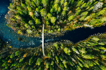Aerial view of fast river through green pine forest in Finland