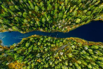 Luftaufnahme des schnellen Flusses durch grünen Kiefernwald in Finnland © nblxer
