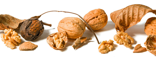 Still life with nuts and leaves on a white background.