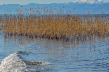 A series of lake landscapes. A wave against the background of reeds and winter hills in the distance. Ohrid Lake, Northern Macedonia.