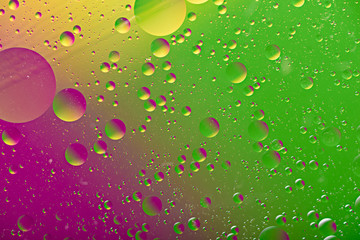 bubbles, drops on colorful art duotone background