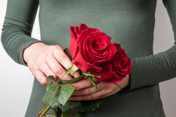 Woman's hands holding red rose. Valentine's Day, Birthday, Celebration and Greeting