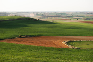 Fototapeta na wymiar Crop fields, Spain, Europe