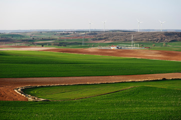 Fototapeta na wymiar Wind power plant and wind turbines in the background of the image