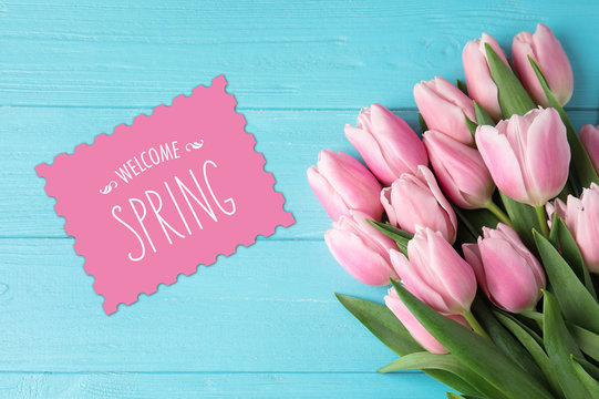 Welcome Spring Wallpaper