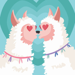 Couple llama falling in love, Greeting card vector illustration, Valentines Day postcard