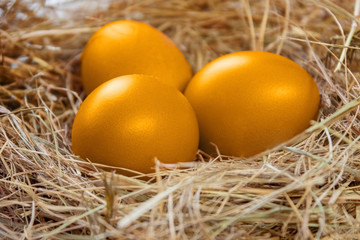 Three golden colored eggs close-up in a nest of dry grass.