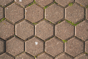 The texture of the paved tile of the street. Concrete paving slabs. Paving slabs