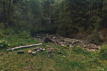 dark forest felling of trees piles camp side place in twilight nature environment