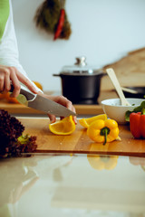 Unknown human hands cooking in kitchen. Woman slicing yellow bell pepper. Healthy meal, and vegetarian food concept