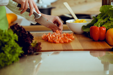 Unknown human hands cooking in kitchen. Woman slicing red tomatoes. Healthy meal, and vegetarian food concept