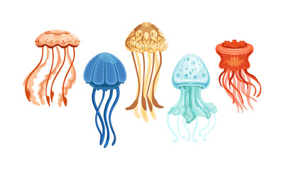 Jellyfish Collection, Beautiful Swimming Marine Creatures Set Vector Illustration © topvectors