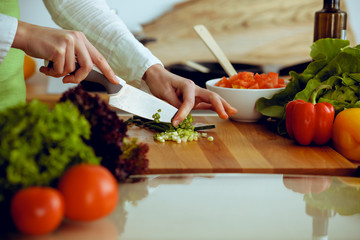 Unknown human hands cooking in kitchen. Woman slicing red tomatoes. Healthy meal, and vegetarian food concept