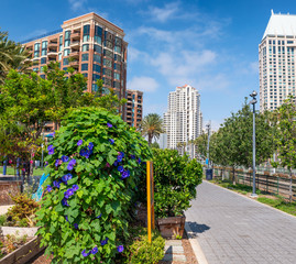 San Diego skyline with buildings and park