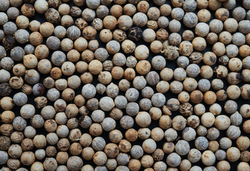 Background of white peppercorns