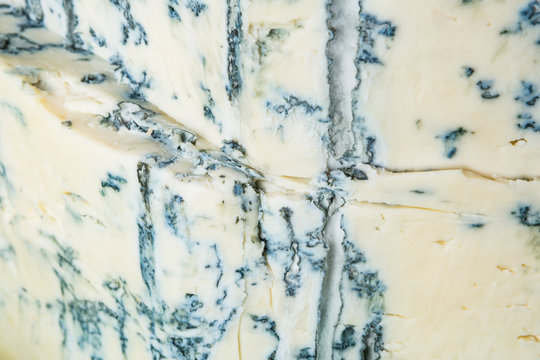 Gorgonzola