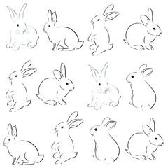 beautiful rabbit art vector illustration