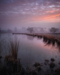 Fototapeta premium colorful sunrise reflected in a fen in the Netherlands