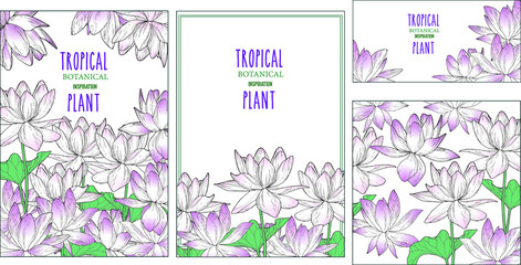 Beautiful floral set of elegant cards. Lotus flowers and leaves with place for your text.