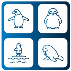 penguin icon set