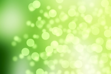 Fototapeta na wymiar Green abstract panorama background with bokeh for spring and easter decorations