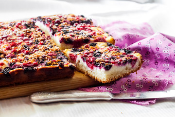 Closeup of berry pie with cottage cheese cut on square slices