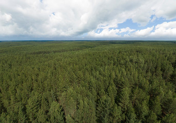 Fototapeta na wymiar Aerial view of Endless forest and clouds. Summer, sunny