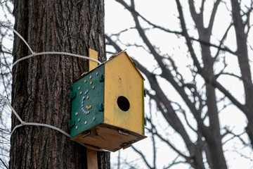 Wooden green and yellow birdhouse hanging on a tree
