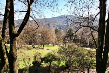 Beautiful garden in Guimaraes village in Portugal